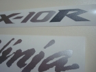 KAWASAKI ZX-10R 2006-2007 RED DECAL KIT