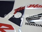 HONDA CBR 954RR 2003 WHITE BLUE DECAL KIT