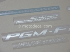 HONDA CBR 1100XX 2002-2004 RED DECAL KIT