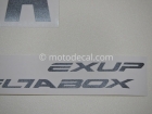 YAMAHA YZF-R6 2008 SILVER DECAL KIT