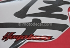 SUZUKI GSX 1300R HAYABUSA  2005 BLUE SILVER  DECAL KIT