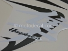 SUZUKI GSX 1300R HAYABUSA 2009 SILVER DECAL KIT