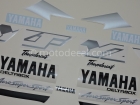 YAMAHA YZF-600R THUNDERCAT 1998-2001 BLACK SILVER GOLD DECAL KIT