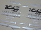 YAMAHA YZF-1000R THUNDERACE 1996-2001 BLACK SILVER DECAL KIT