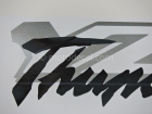 YAMAHA YZF-1000R THUNDERACE 1996-2001 BLACK SILVER DECAL KIT