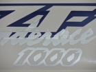 YAMAHA YZF-1000R THUNDERACE 1996-2001 BLUE BLACK DECAL KIT