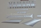 YAMAHA YZF-1000R THUNDERACE 1996-2001 RED SILVER DECAL KIT