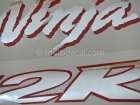 KAWASAKI ZX-12R 2002-2005 BLACK GREY DECAL KIT