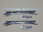 KAWASAKI ZX-12R 2002-2005 GREEN BLACK DECAL KIT
