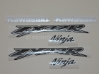 KAWASAKI ZX-12R 2002-2005 RED BLACK DECAL KIT