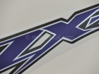 KAWASAKI ZX-12R 2002-2005 SILVER BLACK DECAL KIT
